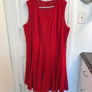 Plus Size: Serafina Premium Apparel